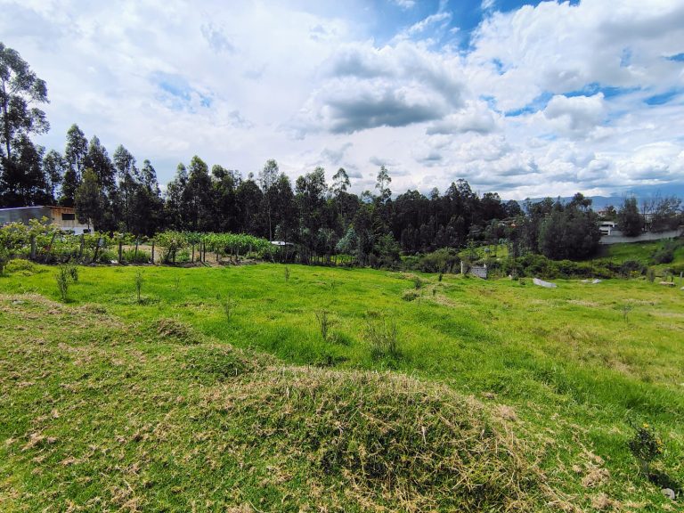 WhatsApp-Image-2026-02-11-at-12.31.52-PM-7