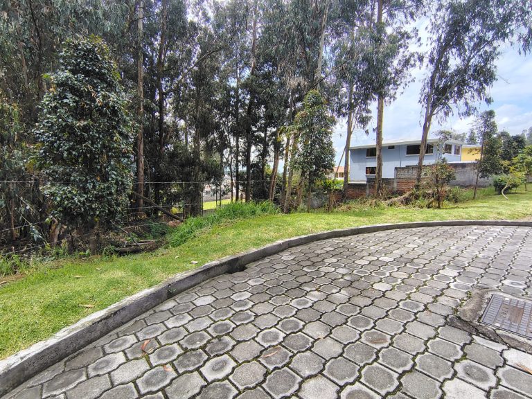 WhatsApp-Image-2026-03-10-at-11.36.18-AM-2-1