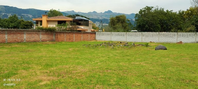 WhatsApp-Image-2026-03-25-at-14.11.11