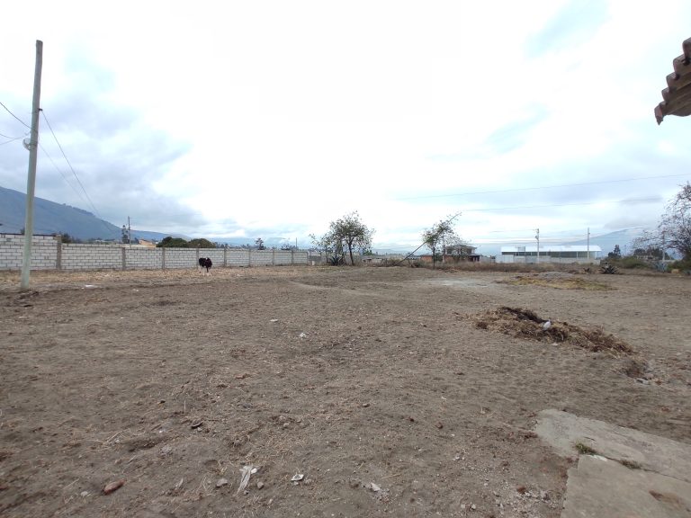 IMG_20250906_092328-2