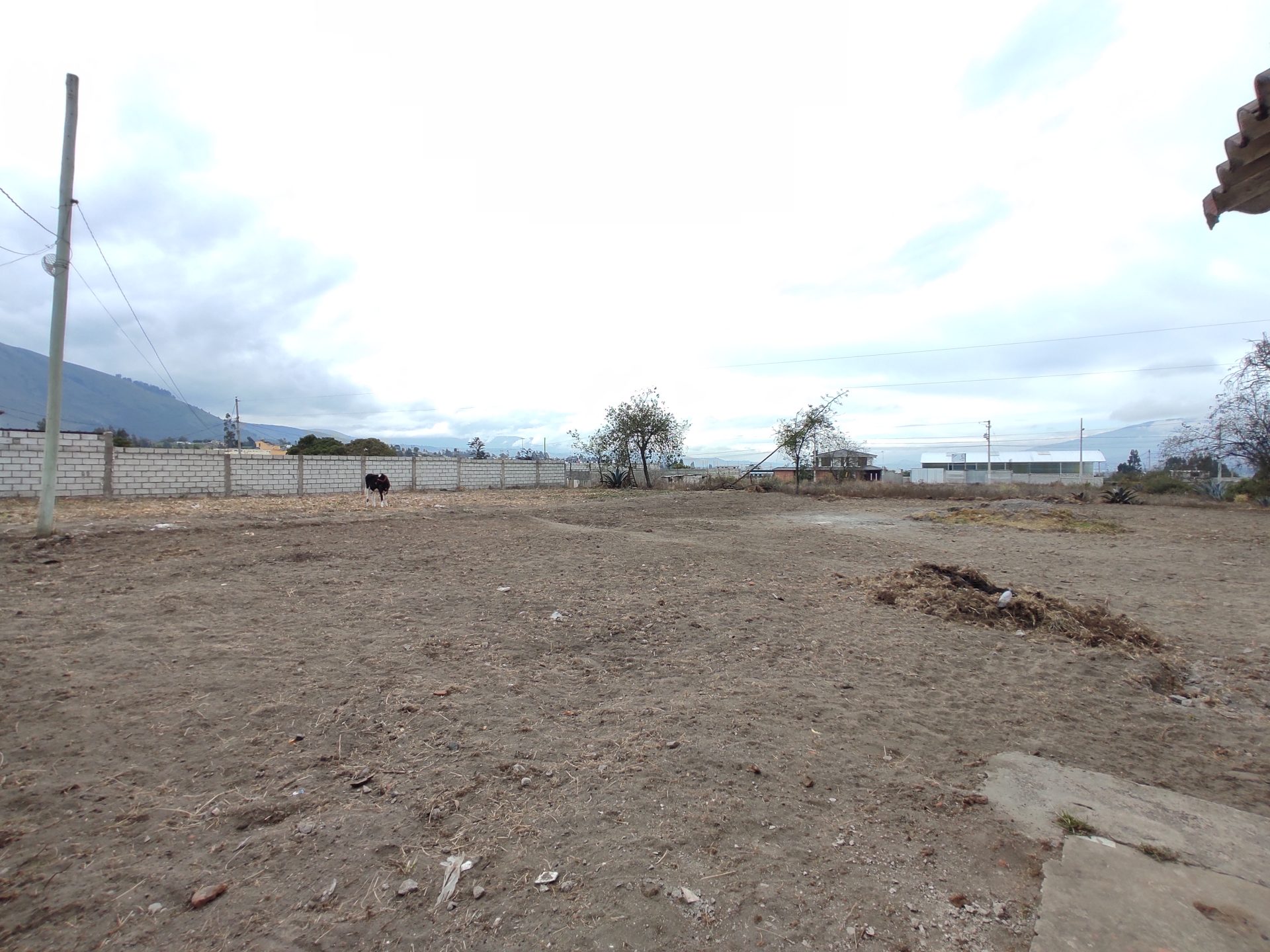 IMG_20250906_092328-2